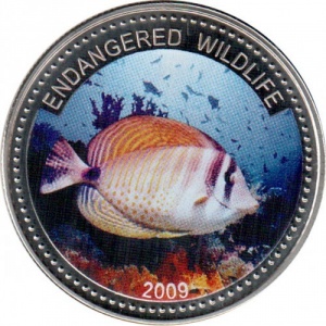 Реверс монеты Палау, 1 доллар, 2009, Вымирающие виды - Zebrasoma veliferum