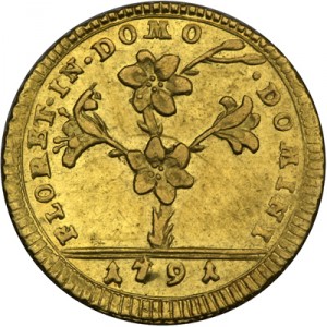 Аверс монеты Папская область, 1 доппия, 1786-1793