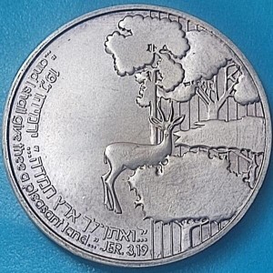 Реверс монеты Израиль, 1 новый шекель, 1989, 41 год независимости