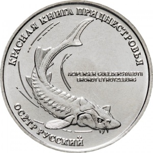 Реверс монеты Приднестровье, 1 рубль, 2018, Русский осётр (Acipenser gueldenstaedtii)
