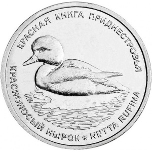 Реверс монеты Приднестровье, 1 рубль, 2023, Красноносый нырок
