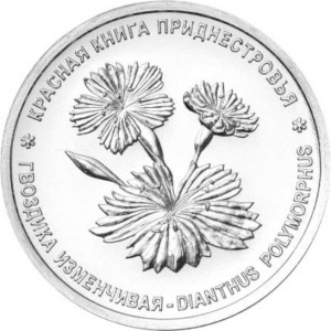 Реверс монеты Приднестровье, 1 рубль, 2025, Гвоздика изменчивая