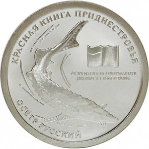 Реверс монеты Приднестровье, 10 рублей, 2008, Русский осётр (Acipenser gueldenstaedtii)