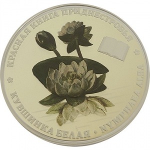 Реверс