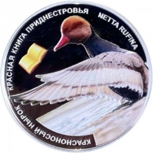 Реверс монеты Приднестровье, 10 рублей, 2023, Красноносый нырок