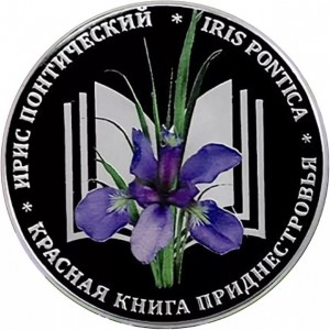 Реверс монеты Приднестровье, 10 рублей, 2024, Ирис понтический