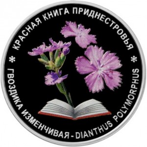 Реверс монеты Приднестровье, 10 рублей, 2026, Гвоздика изменчивая