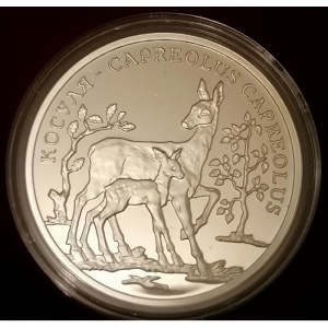 Реверс монеты Приднестровье, 100 рублей, 2004, Фауна Приднестровья - Косуля