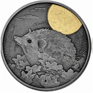 Реверс монеты Камерун, 500 франков, 2023, Ночные охотники - Ёж