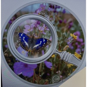 Аверс монеты Камерун, 500 франков, 2024, Бабочки - Фиолетовый император (apatura iris)