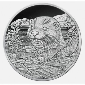 Реверс монеты Камерун, 1000 франков, 2024, Рыбоядное животное - Выдра