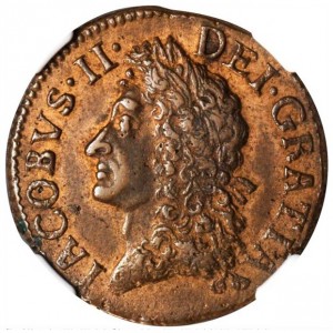 Аверс монеты Ирландия, ½ кроны, 1689-1690