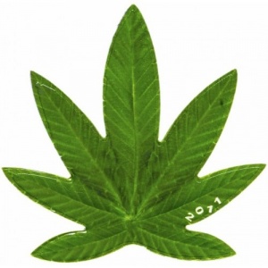 Реверс монеты Бенин, 100 франков, 2011, Конопля посевная (Cannabis sativa) /серебро/
