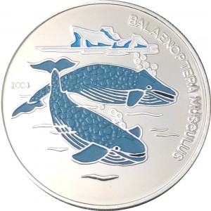 Реверс монеты Бенин, 1000 франков, 2004, Синий кит (Balaenoptera musculus), Цветное покрытие