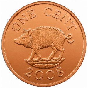 Реверс монеты Бермуды, 1 цент, 2007-2009