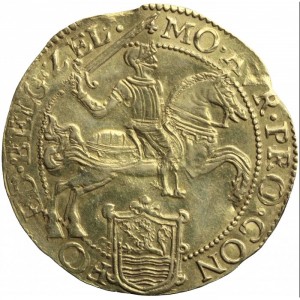 Аверс монеты Голландская республика, 1 золотой райдер, 1606-1644