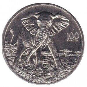 Реверс монеты Замбия, 100 квач, 1997, Африканская фауна - Африканский слон