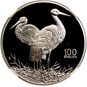 Реверс монеты Замбия, 100 квач, 1998, Африканская фауна - Белый аист