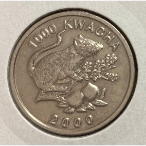 Реверс монеты Замбия, 1000 квач, 2000, Крыса