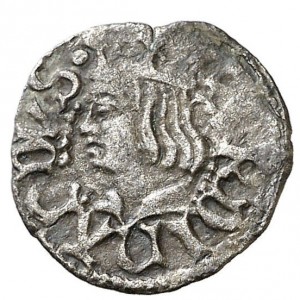 Аверс монеты Каталония, 1 динеро, 1479