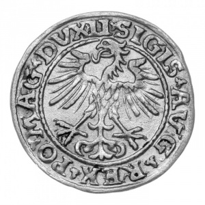 Аверс монеты Литва, ½ гроша, 1533-1569