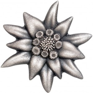 Реверс монеты Монголия, 500 тугриков, 2019, Эдельвейс