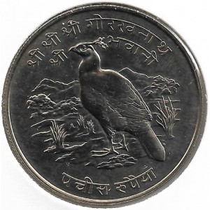 Реверс монеты Непал, 25 рупий, 1974, Гималайский монал
