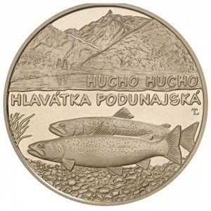 Реверс монеты Словакия, 5 евро, 2025, Фауна и флора Словакии - Дунайский лосось