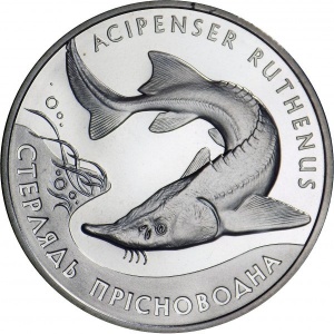 Реверс монеты Украина, 2 гривны, 2012, Флора и фауна - Стерлядь пресноводная