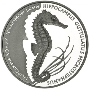 Реверс монеты Украина, 10 гривен, 2003, Флора и фауна - Морской конек