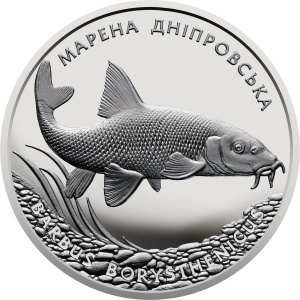Реверс монеты Украина, 10 гривен, 2018, Днепровский усач (Barbus borysthenicus)